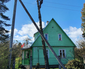 ArbCut atliktų darbų nuotrauka 12