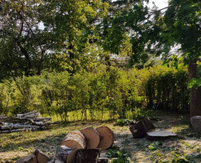 ArbCut atliktų darbų nuotrauka 31