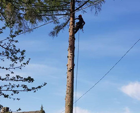 ArbCut atliktų darbų nuotrauka 35