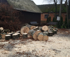 ArbCut atliktų darbų nuotrauka 39